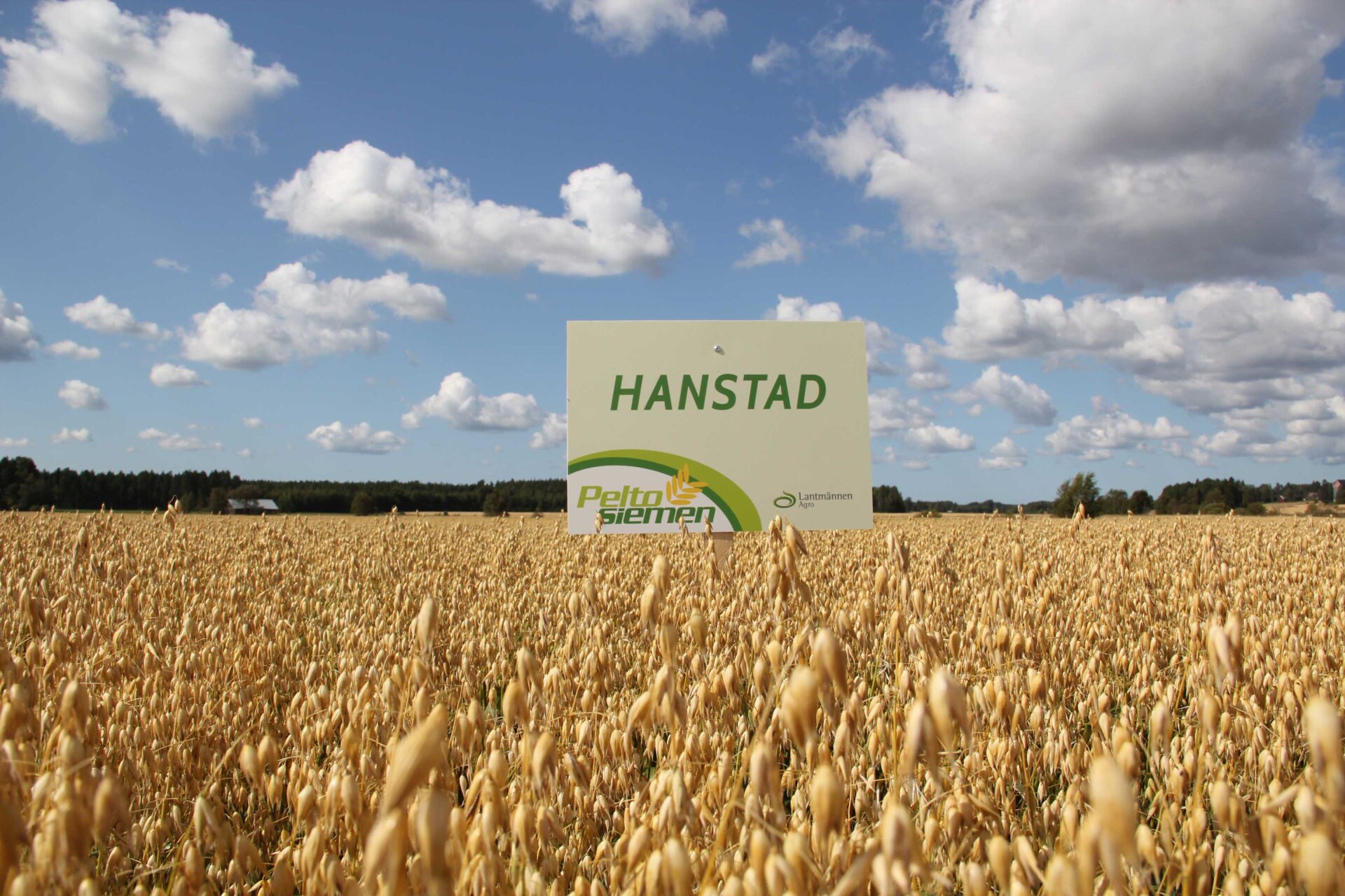 Hanstad