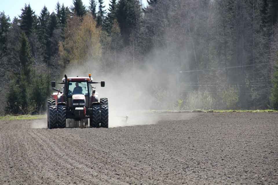 Peltosiemen_Winx_viljelykokemus2_960_640