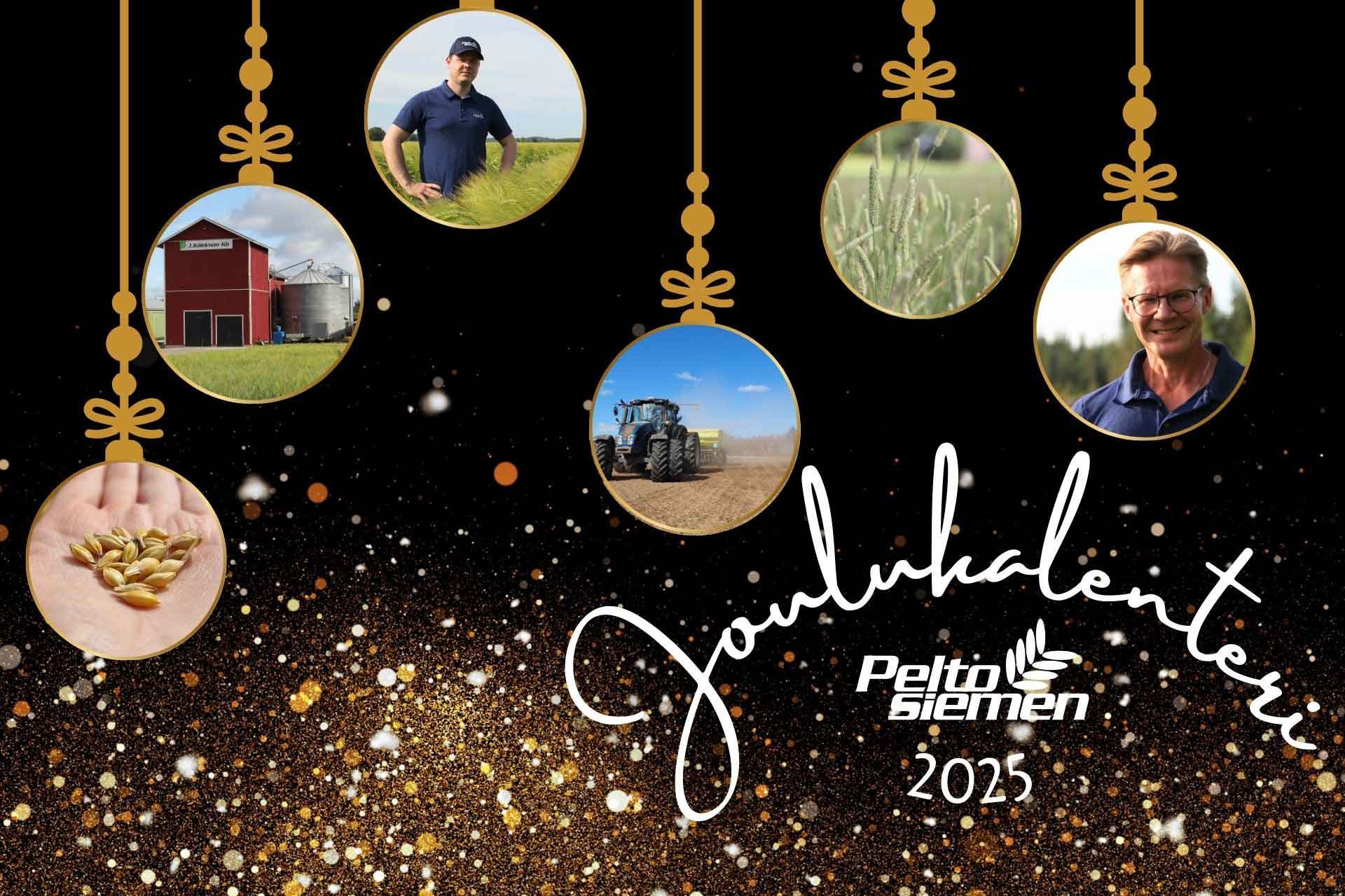 Peltosiemen_Joulukalenteri-2025_1920x1280