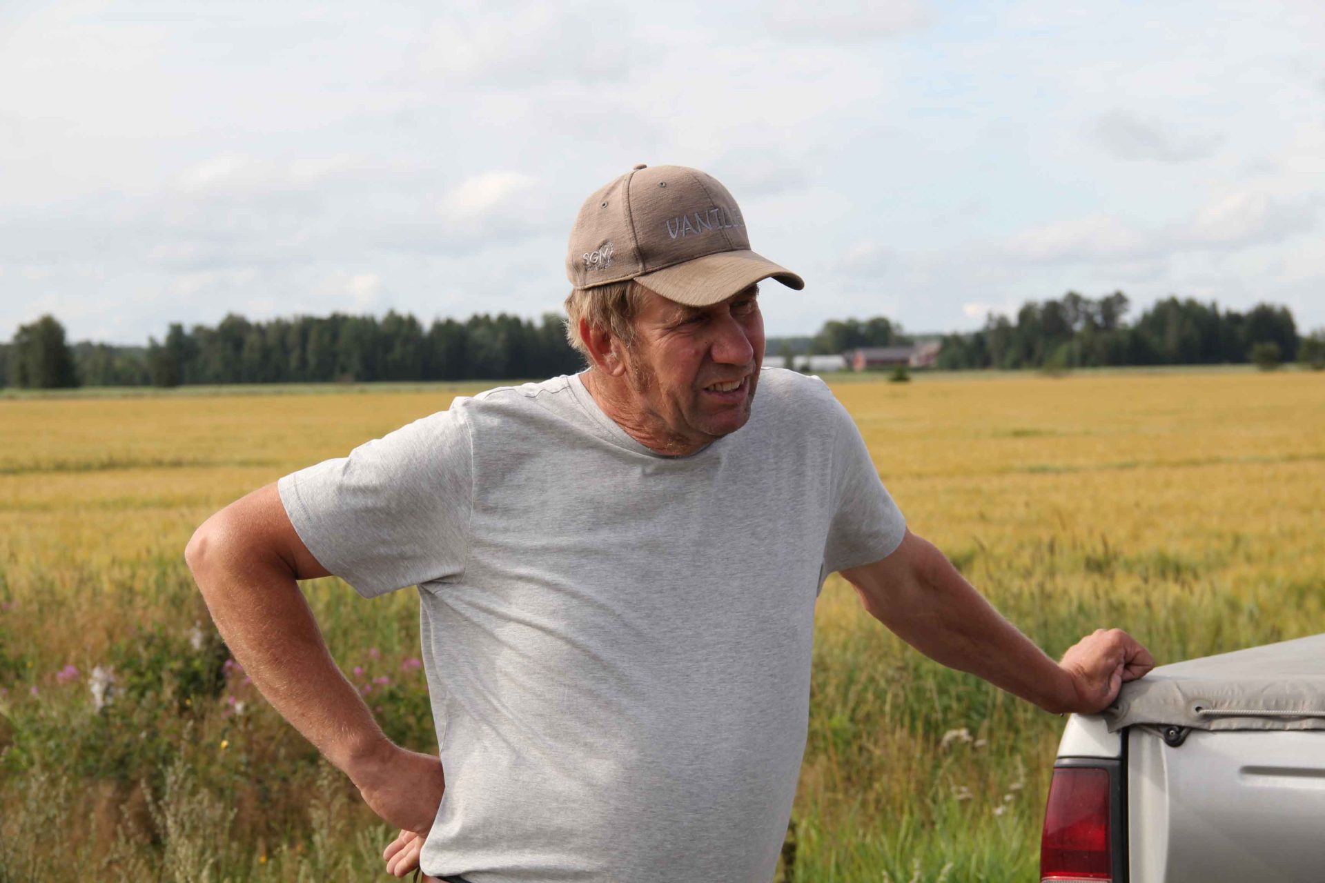 Peltosiemen_Anttila_web