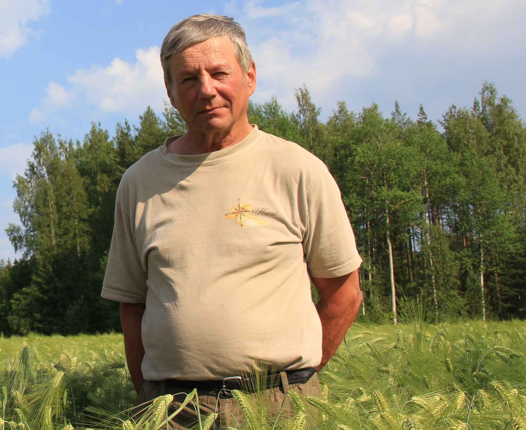 Peltosiemen_Hallasuo1_web