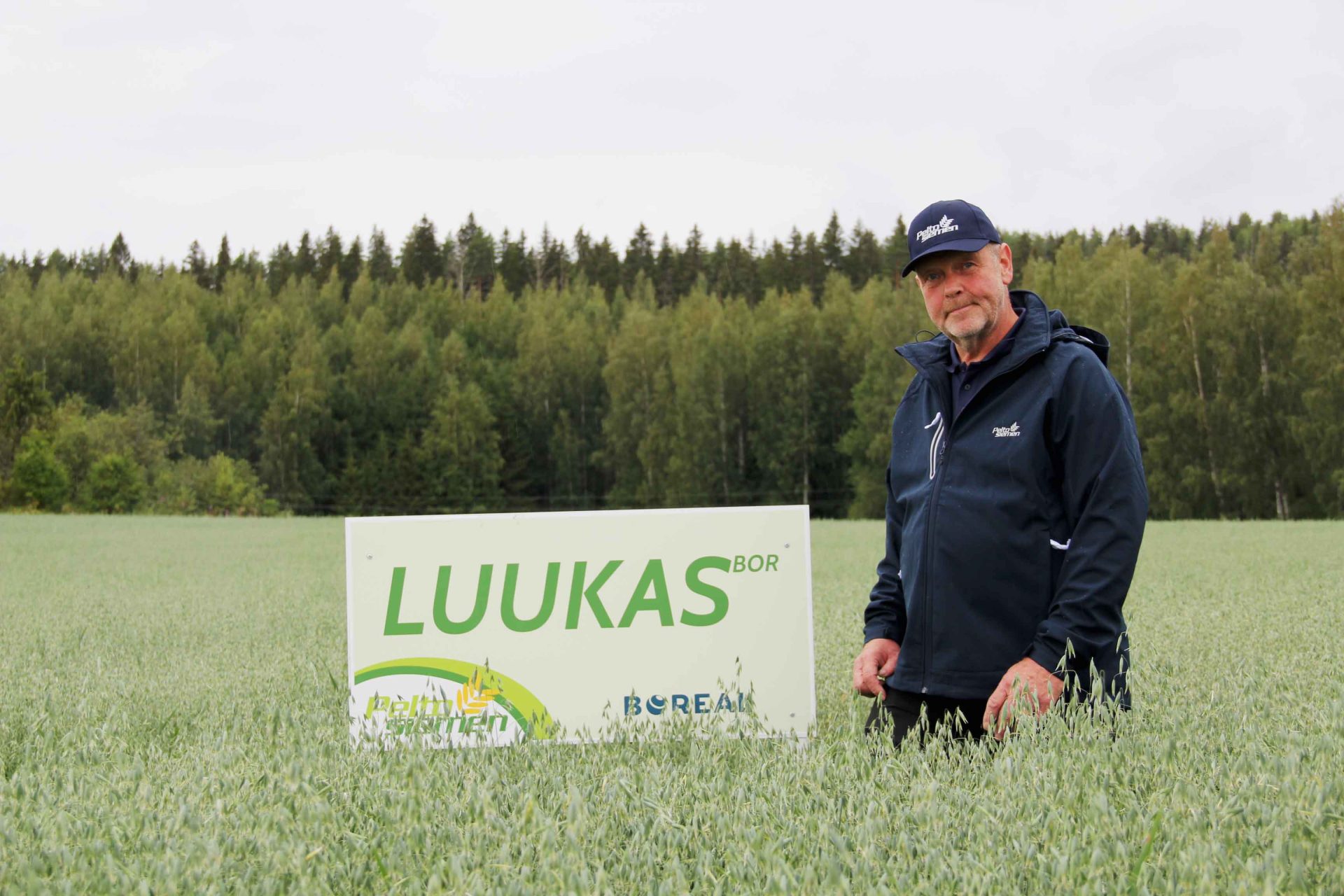 Peltosiemen_Pellosniemi_web