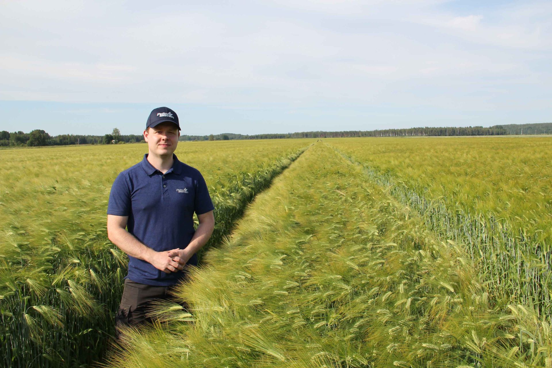 Peltosiemen_TaurunSiemen_web