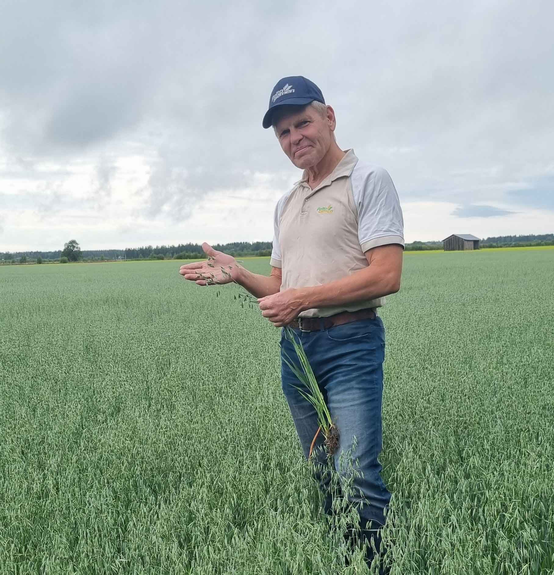 Peltosiemen_TopparinTilaOy1_web