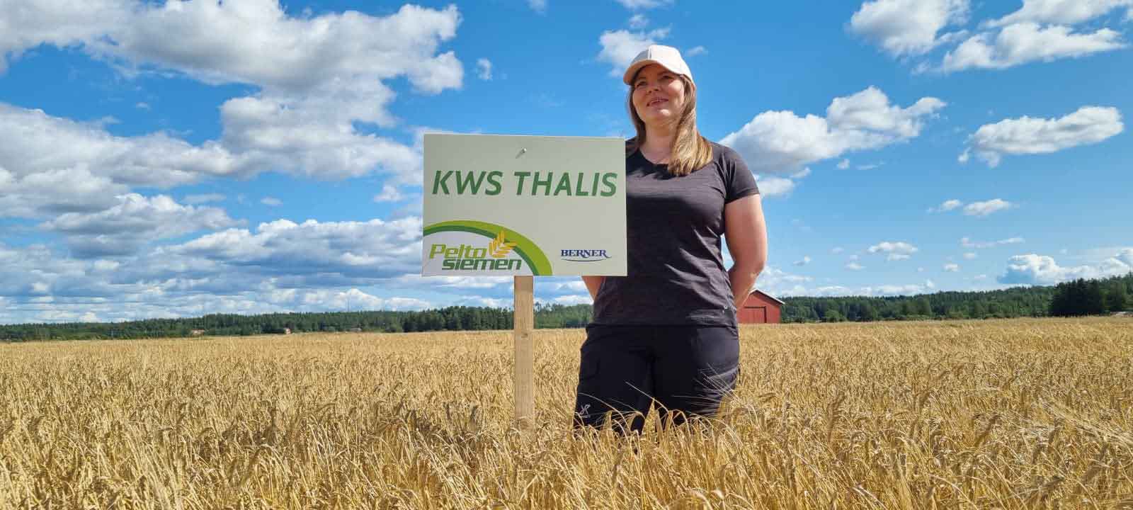 Peltosiemen_KWSThalis_ElinaKarjalainen_web