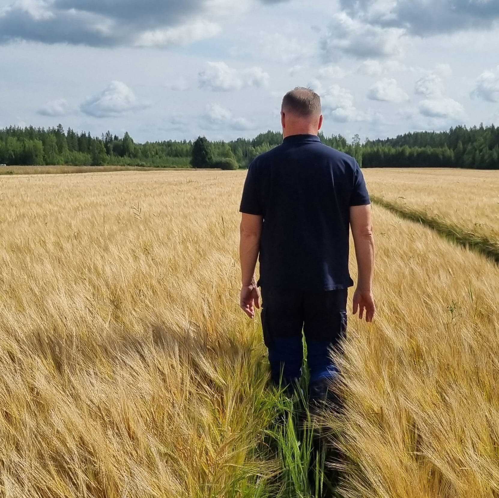 Peltosiemen_Sting_Alasaari25_2