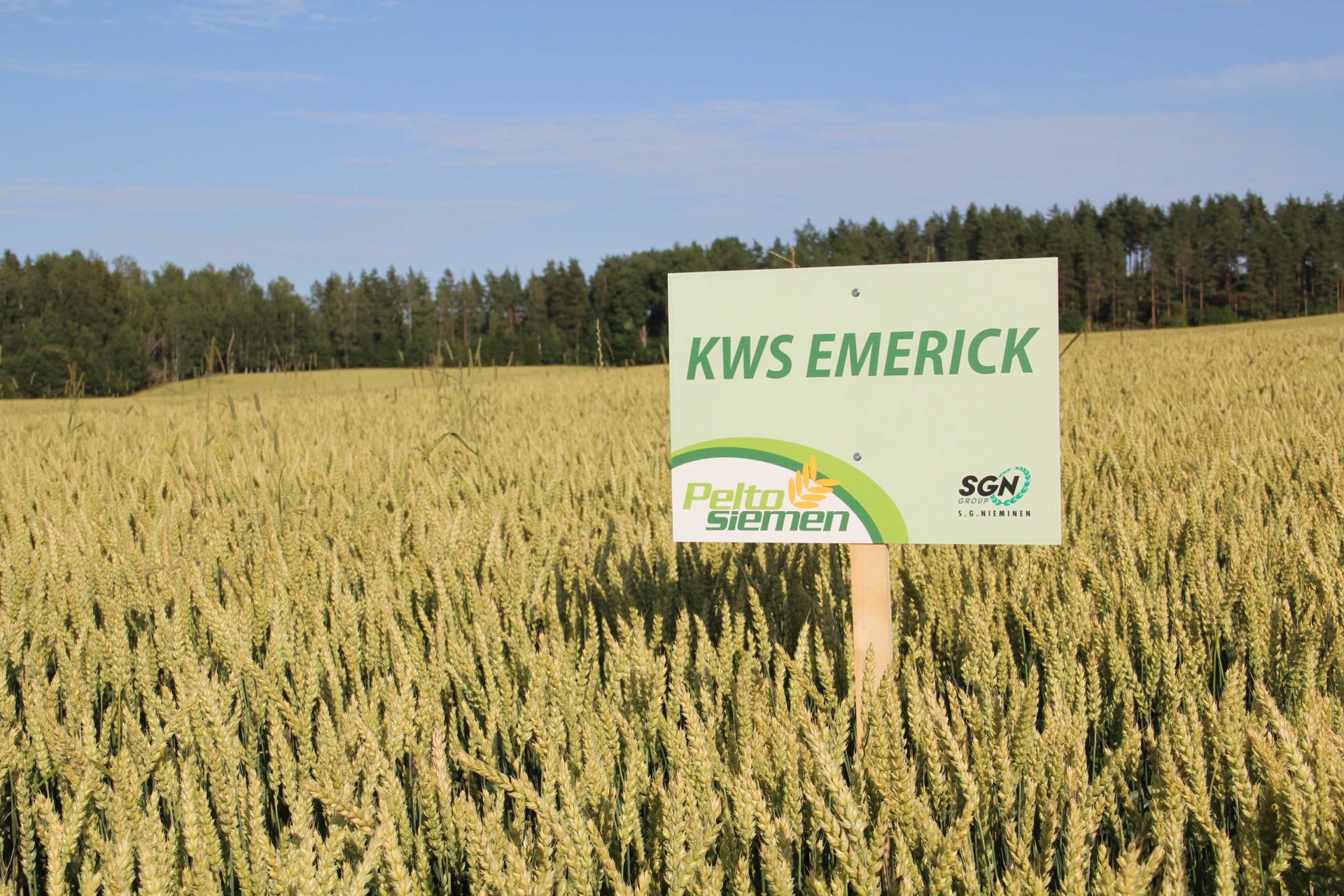 Peltosiemen_KWSEmerick_0451_web